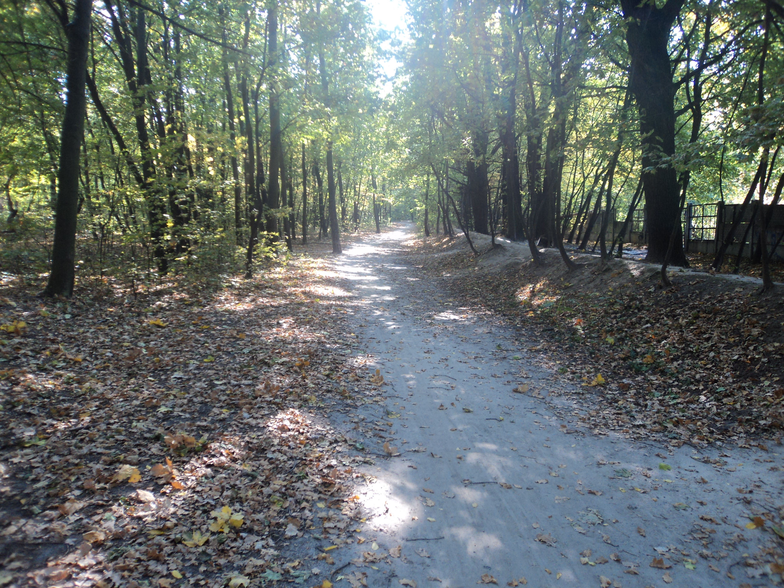 The St. Jacob's. Trail St.Seraphim of Sarov 1Part.Corridor No. 1 "Oak Alley".